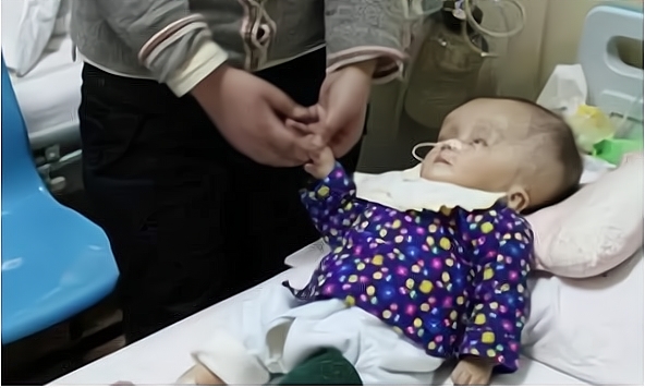 对毒奶粉事件的看法,毒奶粉事件的看法