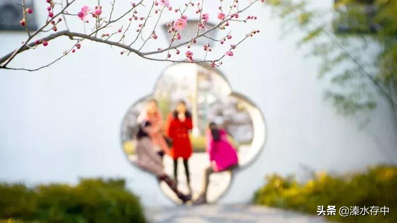 姜堰好吃又好玩的地方,56张美景图片大饱眼福