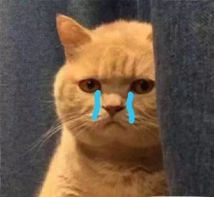 为什么都说江苏教育好,带你看看什么是江苏教育