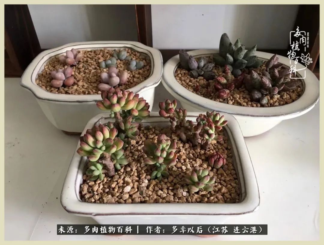 多去花前谈以后，少来月下忆当年