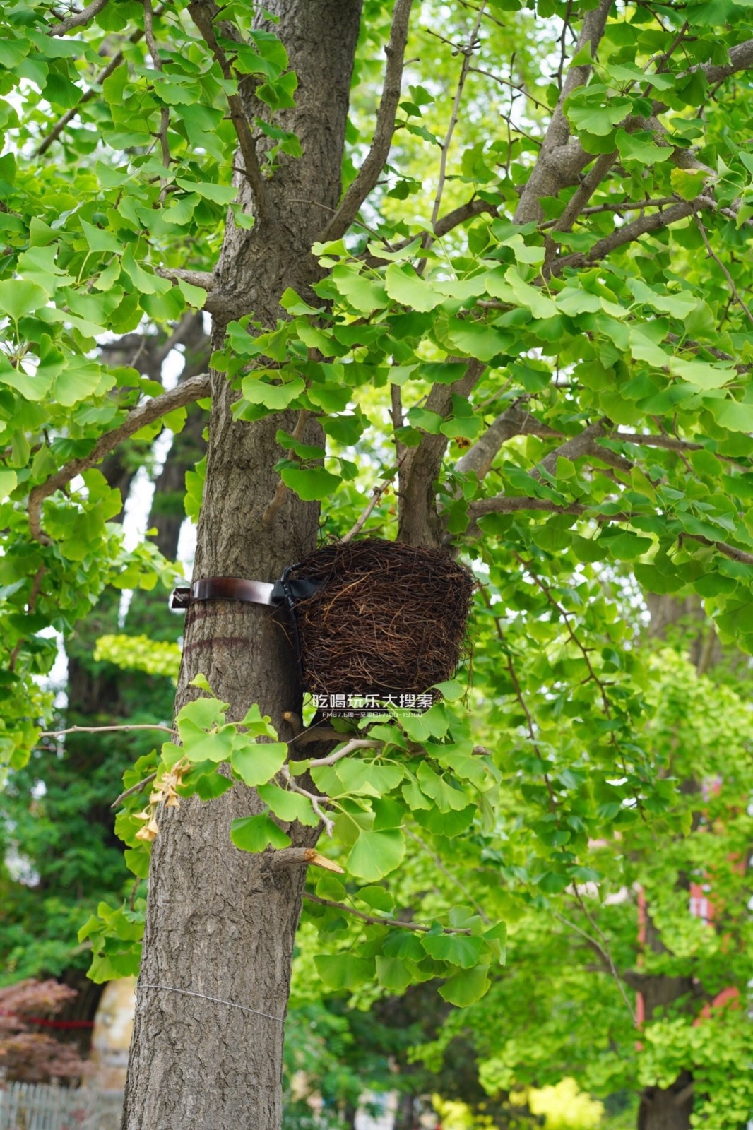 遇上浓浓的大连海蛎子味,青岛海蛎子旅游攻略