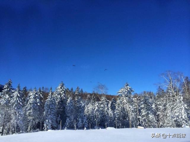 黑龙江cba篮球队,cba历史上黑龙江球队