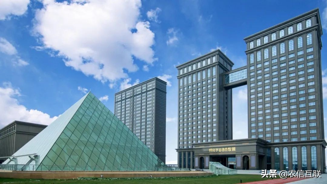 牧原集团市值,养猪牧原股份有投资价值吗