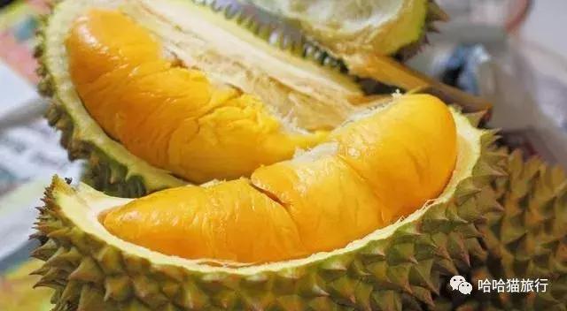 马来西亚落地免签,马来西亚官宣免签