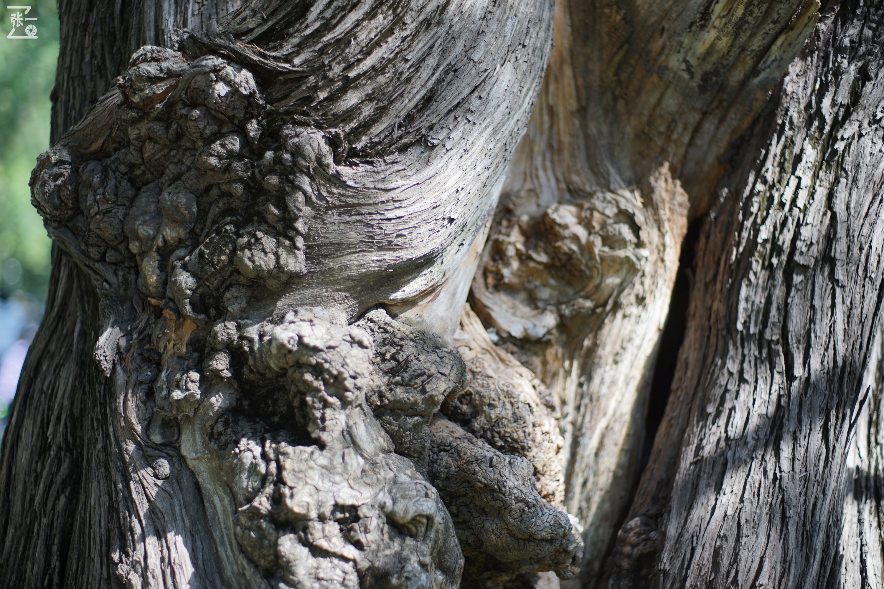 宾得老镜头k系列,老北京镜头