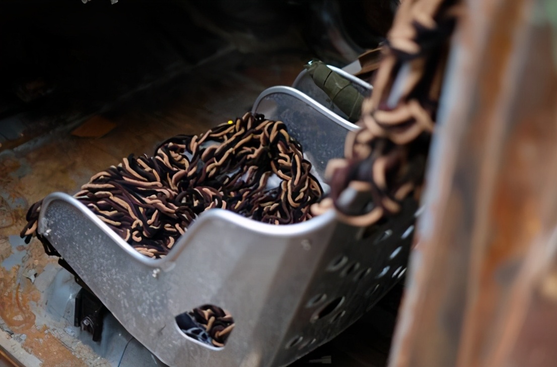 BALANCE参加“寻找五菱潮装人”打造废土风格“末日板牙”