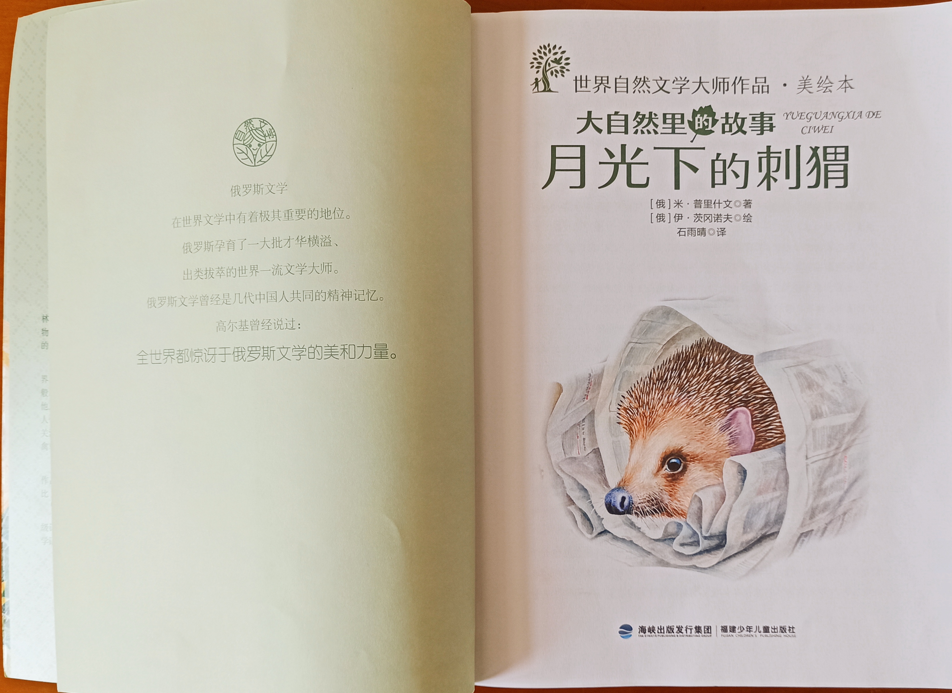 月光下的刺猬，那是儿时的纯真