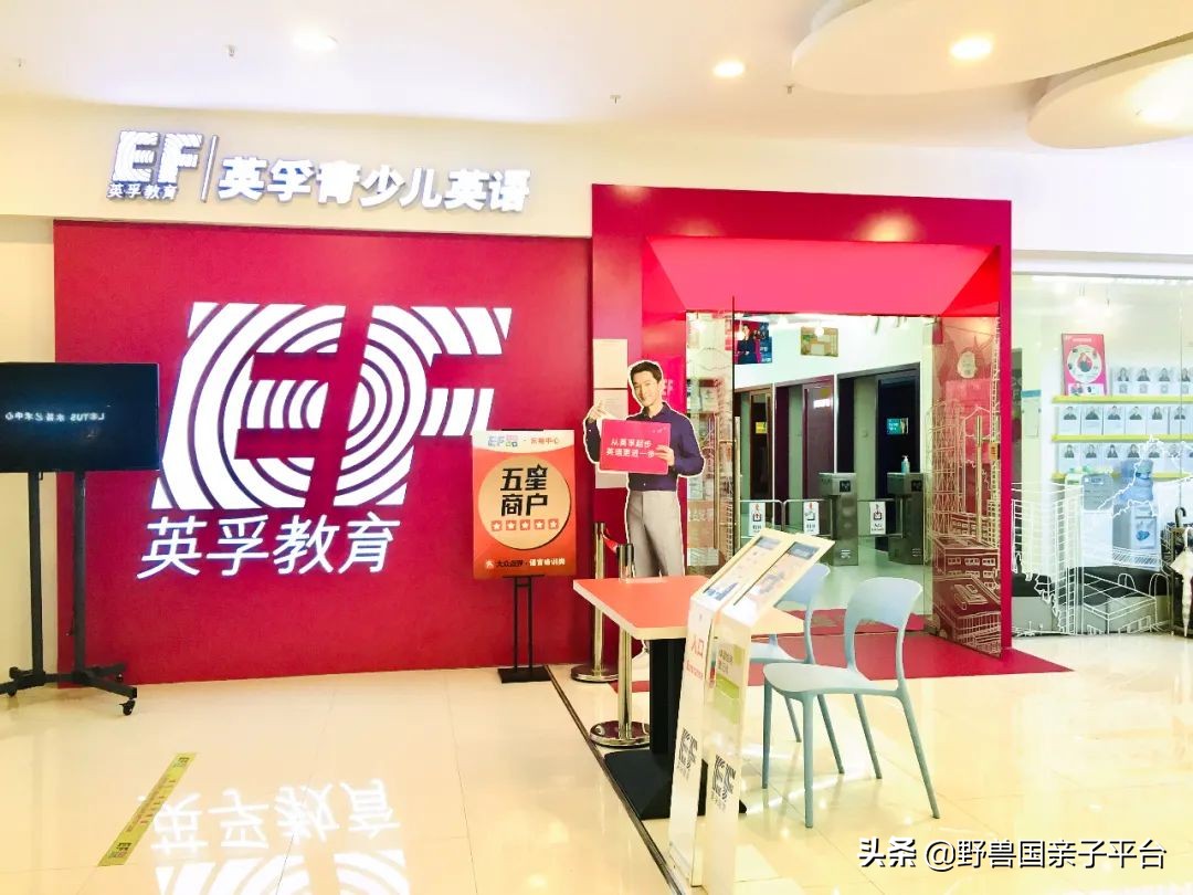 东莞新东方英语培训班好吗,东莞学英语的机构排名