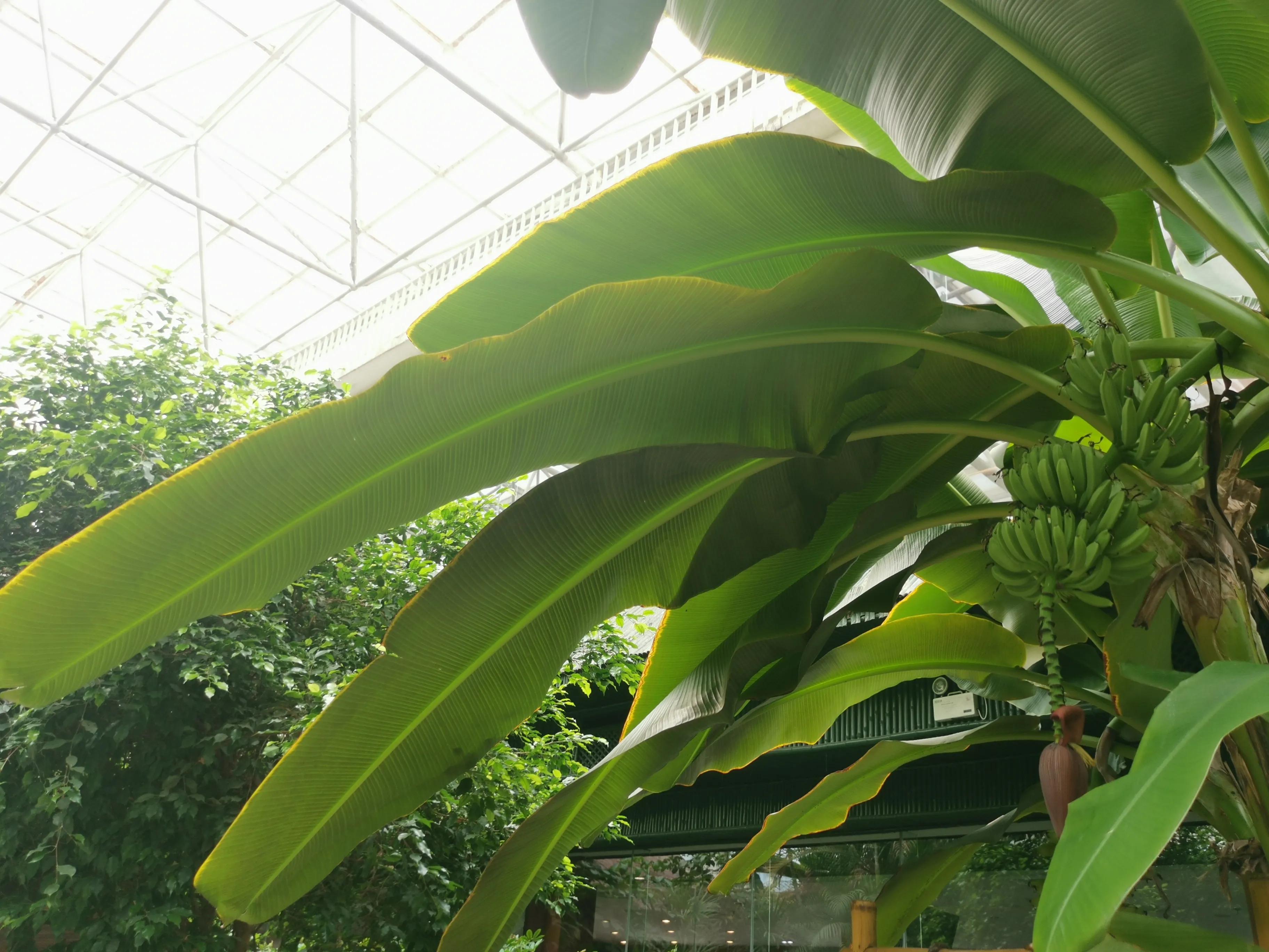 凤山温泉,北京金隅凤山温泉特色