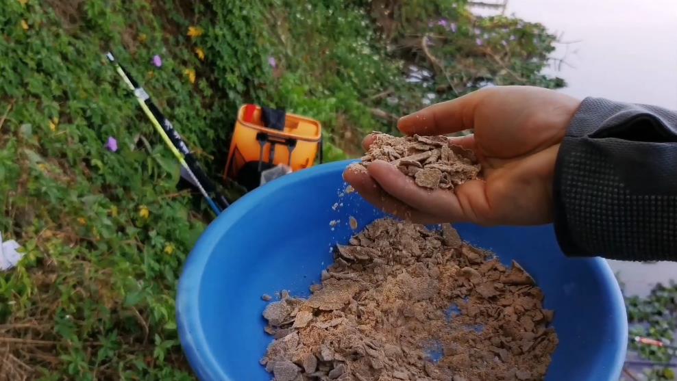 妄想山海鲮鱼成熟后怎么进阶,钓鲮鱼1.5主线0.8子线可以吗