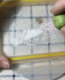 90后母亲被骗,90后妈妈因造假走红