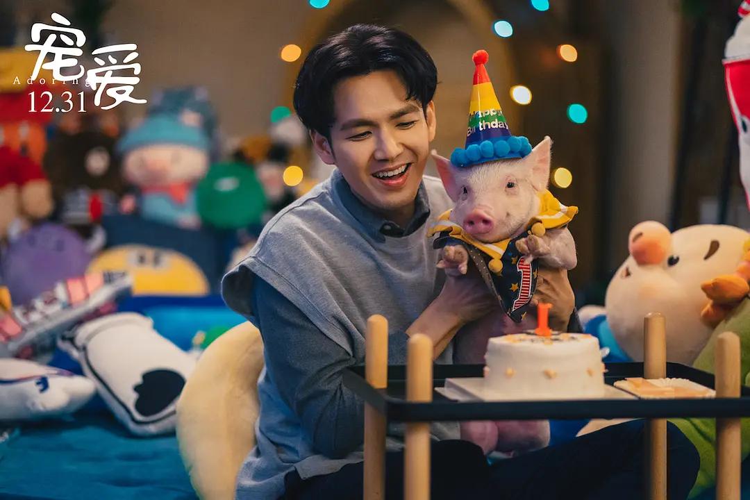 史上最成功烂片狂揽几十亿票房,票房超10亿的五部烂片