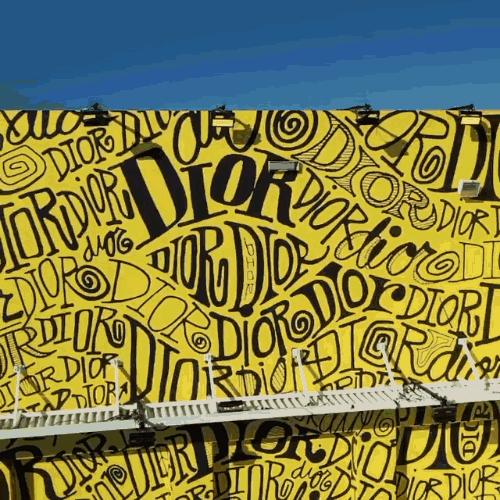 2017年迈阿密艺术博览会作品展示,2019年迈阿密魅力秀