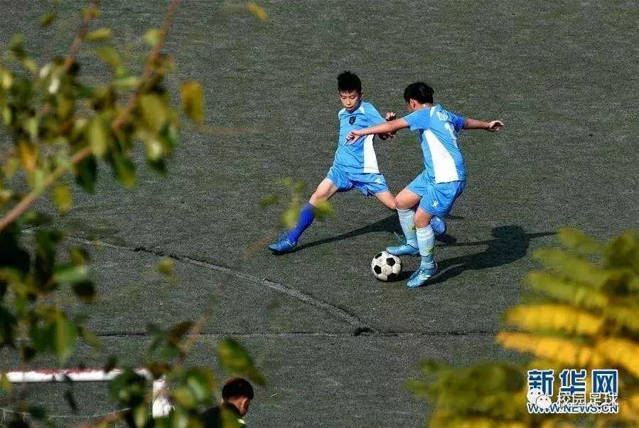 学习田径两不误,学习体育两不误