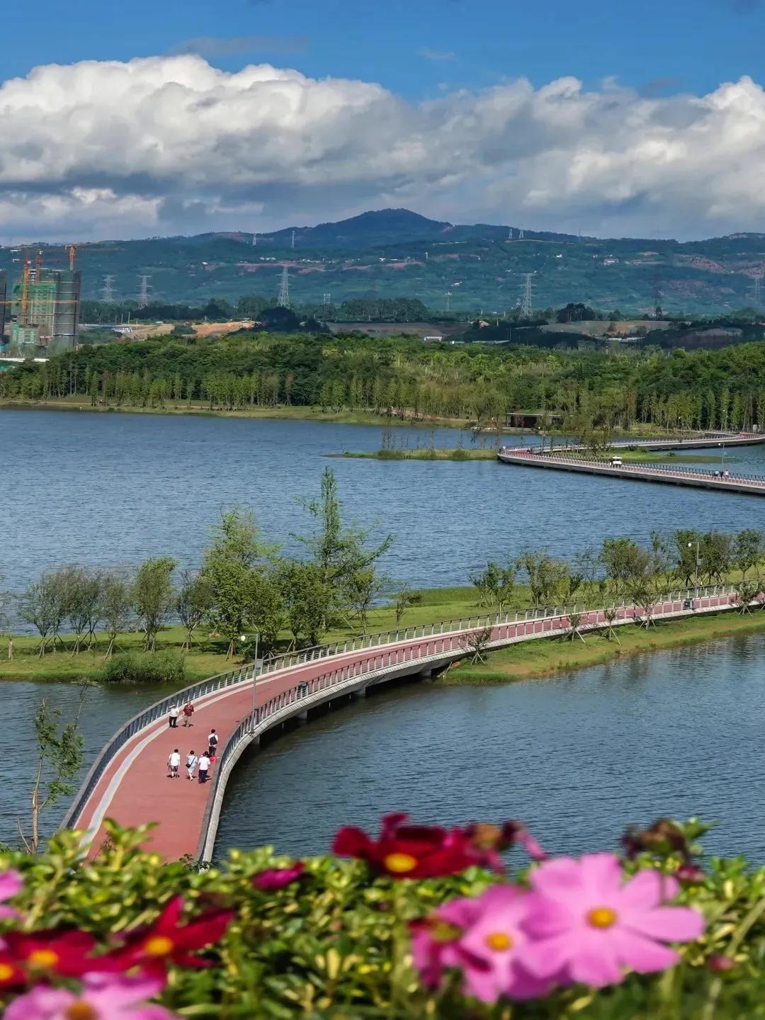 成都拍了拍你,一亿成都粉get心动讯息