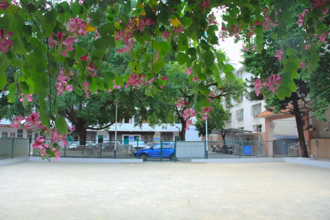 云浮体育公园2021,体育公园云浮