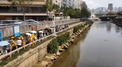 刷爆了！排到5万多号，现场人人人人，交警紧急喊话！深圳文和友今早道歉