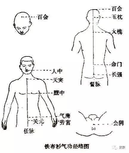 龙门铁布衫,武当铁布衫秘传功法图片