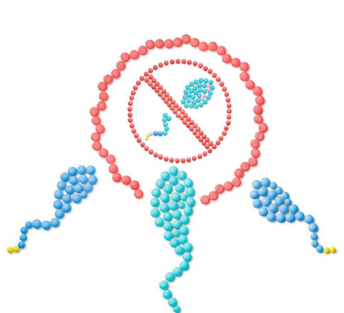 那些没有与卵子结合的精子，都跑去哪里了？对女性身体有影响吗？