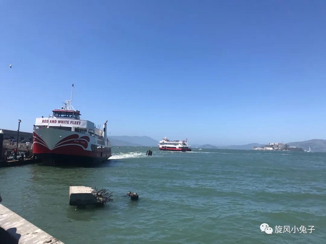 加州沿海1号公路自驾游散装系列（一）：阳光北加的金山依旧