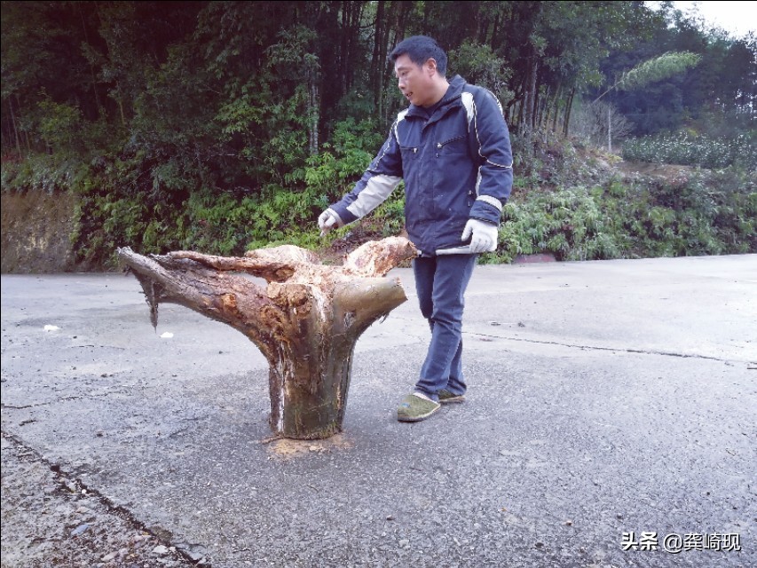 根雕小茶桌泡茶,用根雕茶桌喝茶