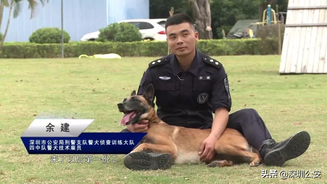 深圳警犬基地可以训犬么,深圳公安警察训练