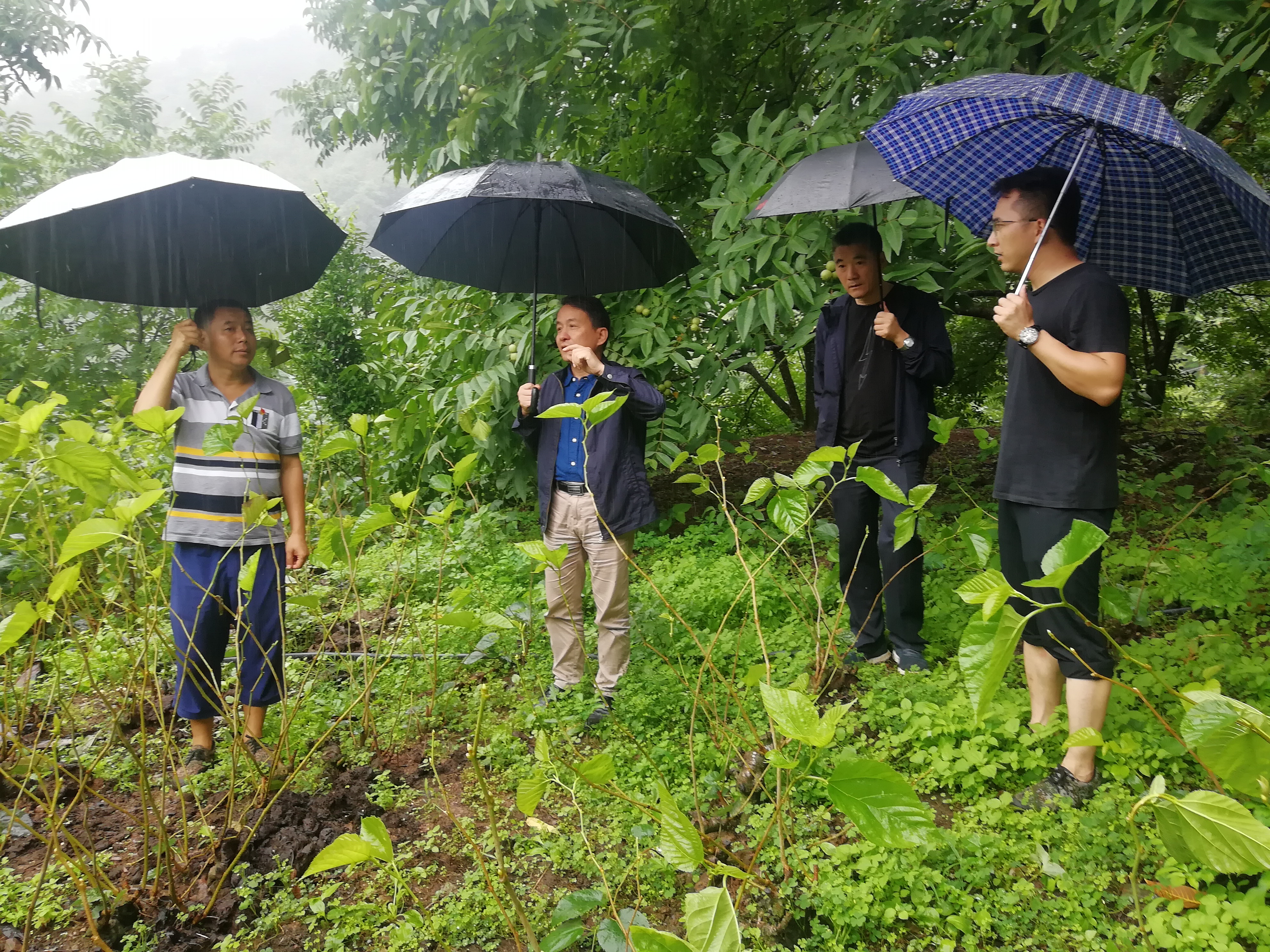 浙大干部景东扶贫：贫困发生率从12.64%降至3.49%，村民都拿他当自家人！