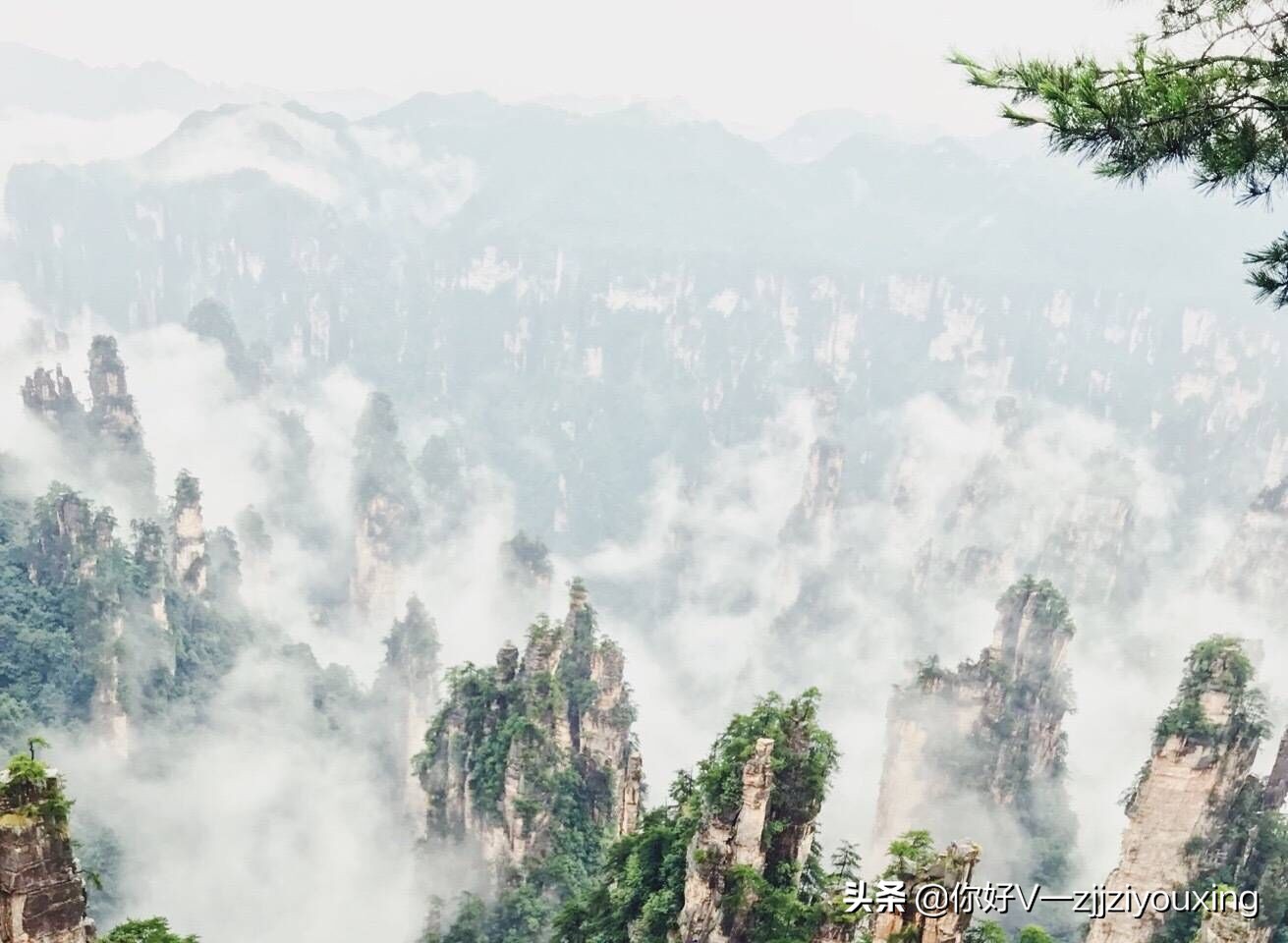 张家界自助游详细攻略,张家界旅游不建议自驾么