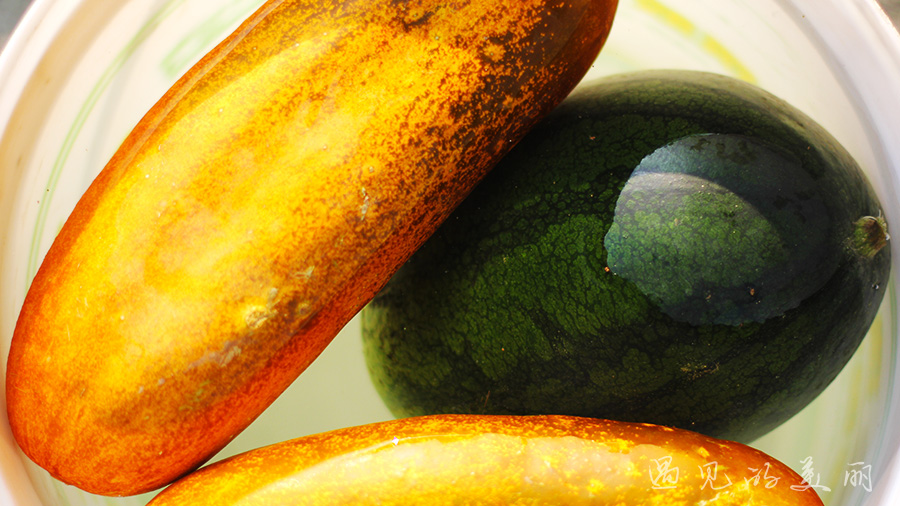 龙脊梯田风景区被破坏过吗,桂林龙脊梯田最全攻略