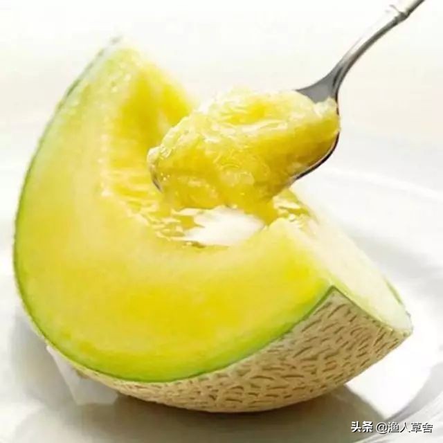 网纹瓜和静冈蜜瓜,静冈蜜瓜是网纹瓜吗