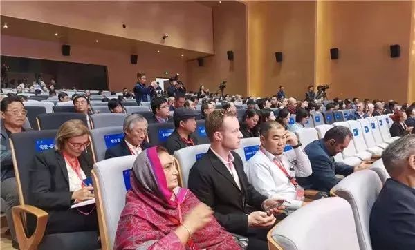 洛阳游客大增,洛阳吸引游客