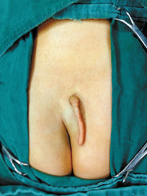 长尾巴黑灰色鸟类图片,长尾巴黑灰相间的猫