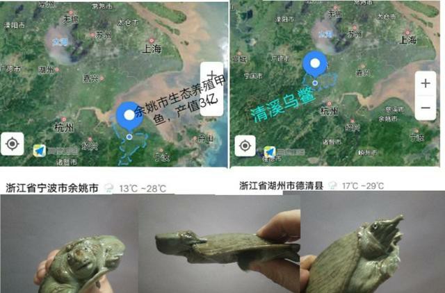 甲鱼全产业链,甲鱼产业现状如何