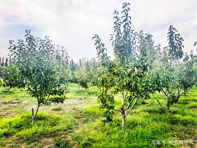 包头为什么成为重工业城市,包头为什么叫包头市