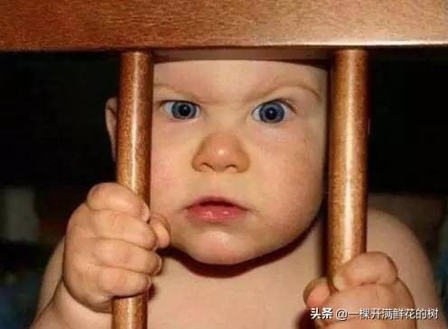 拜托，你没教养的“自嗨”，真不是率直可爱