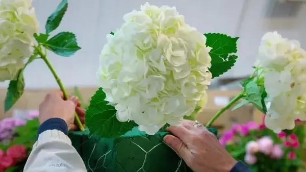 bbc中国探秘纪录片,bbc探秘印尼爪哇古洞