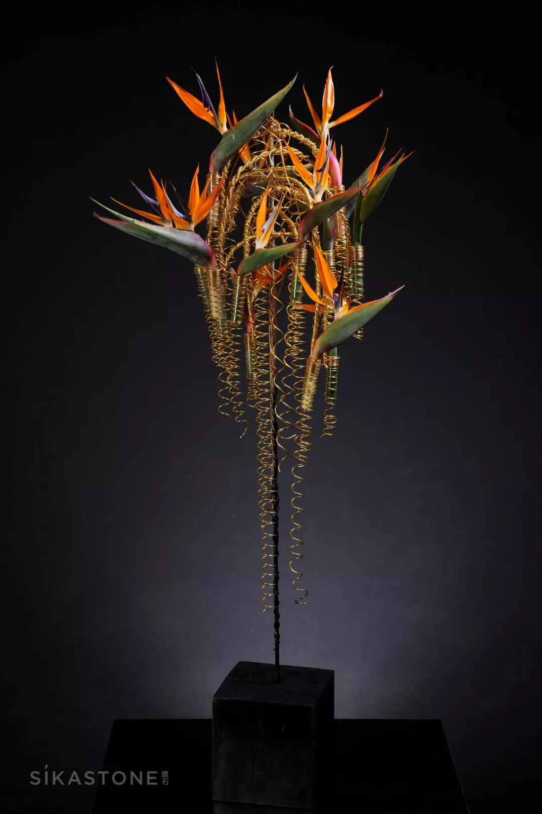 了不起的发明主题目标,了不起的发明主题环创