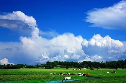 内蒙快递不包邮的地区有哪些,快递内蒙古为啥不发货