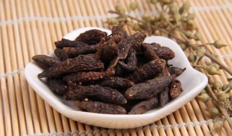 农村野外常见的尖叶恶性杂草,农田里常见的这种杂草