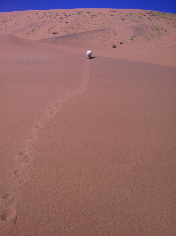徒步穿越巴丹吉林沙漠路线,穿越巴丹吉林沙漠四日游