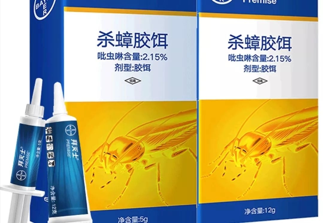 看看双十一都买的啥,说说双十一你想买什么