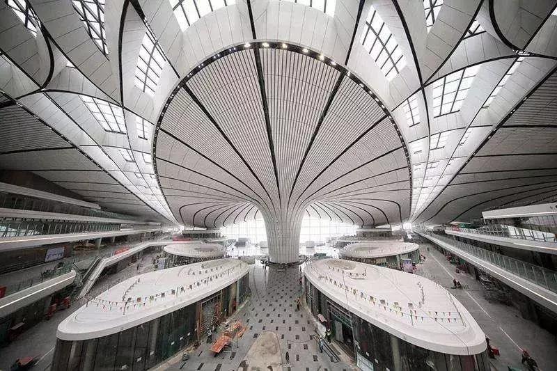 英国卫报世界七大新奇迹,被英国卫报誉为世界七大奇迹