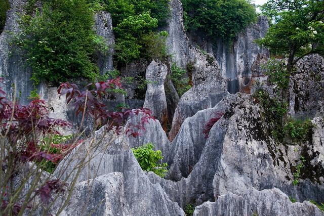 小平故里到华蓥山花海人家要多远,广安华蓥山小平故里