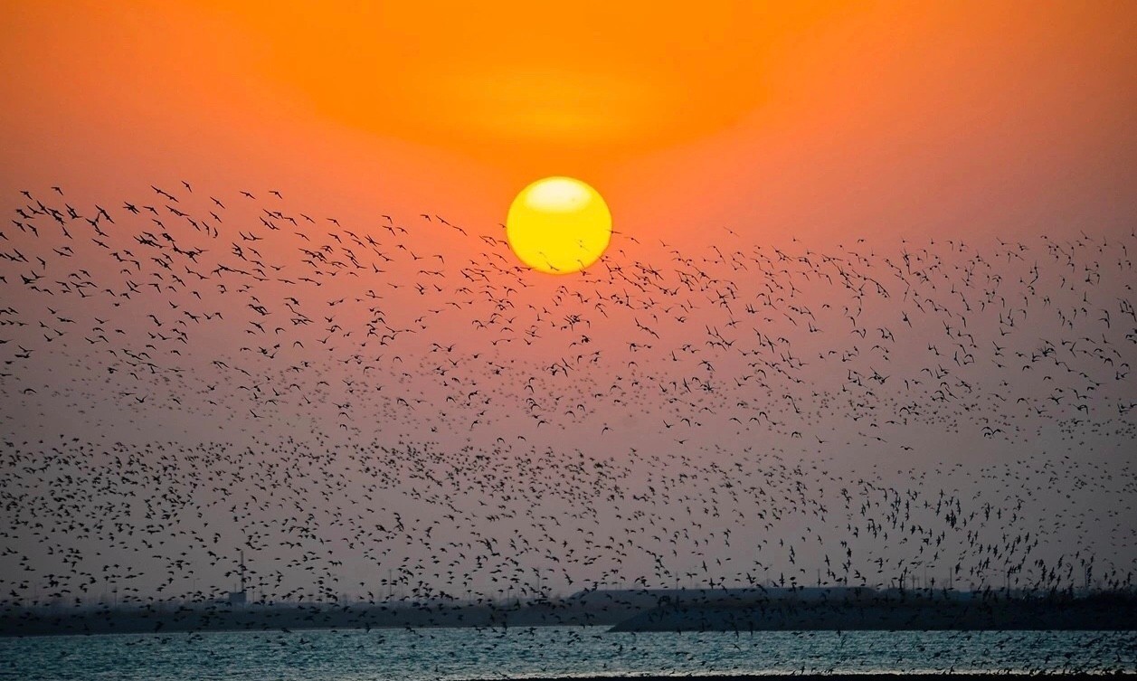 从南到北看祖国,从南到北看尽大好河山