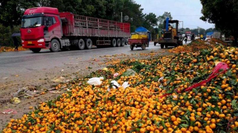 越南主动放弃石油平台，又取消西方贸易订单，外媒：讨好中国？