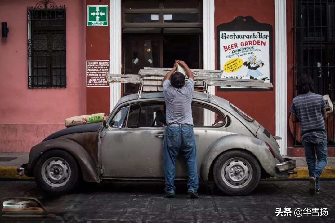 在这里你可以看到绚烂多彩的甲壳虫,因为他们是这里的精灵