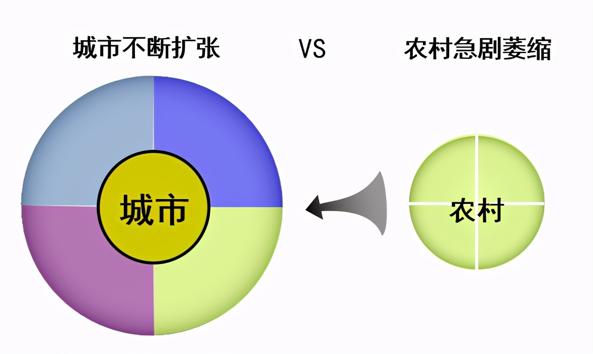 李忠乡村振兴系列,李忠的精辟分析
