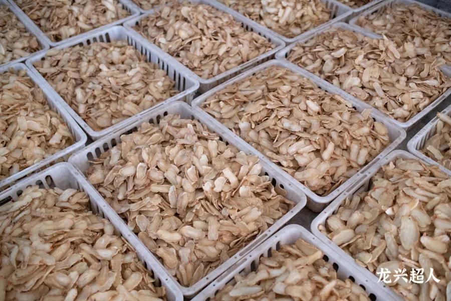 贵州道地药材天麻,道地药材天麻之乡