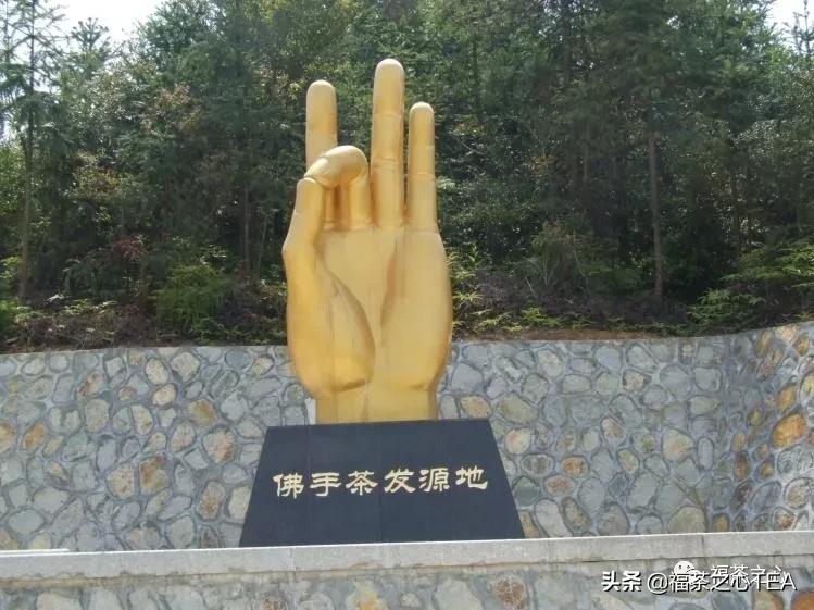 福建最好的茶叶有哪些,福建有哪些茶叶比较好