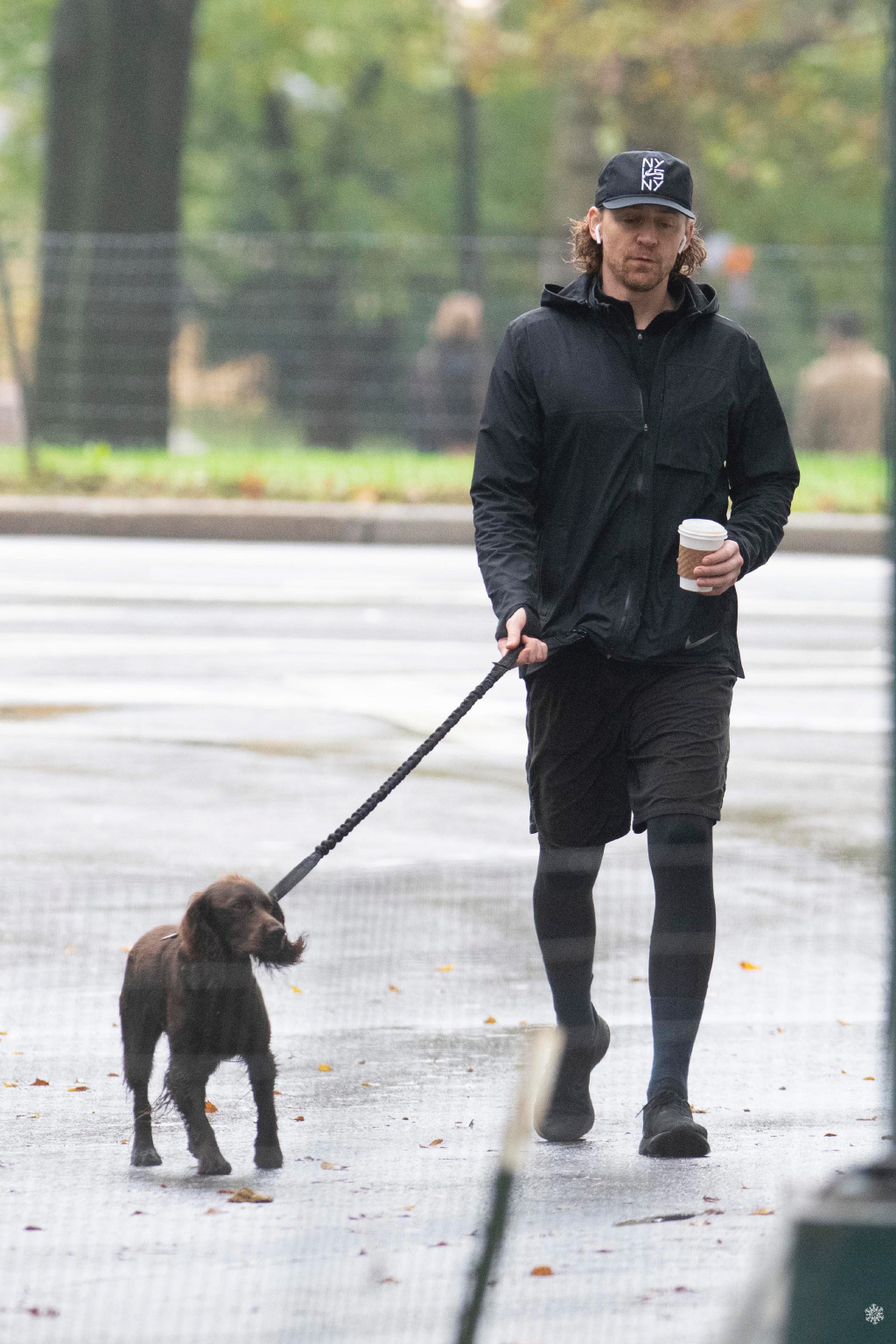 洛基出门遛狗,年轻洛基见到老年洛基